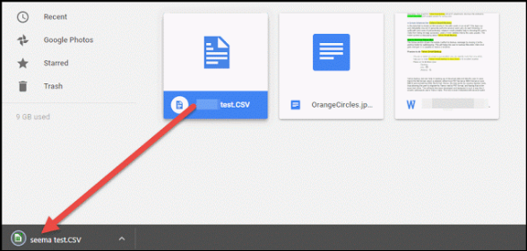 file starts downloading