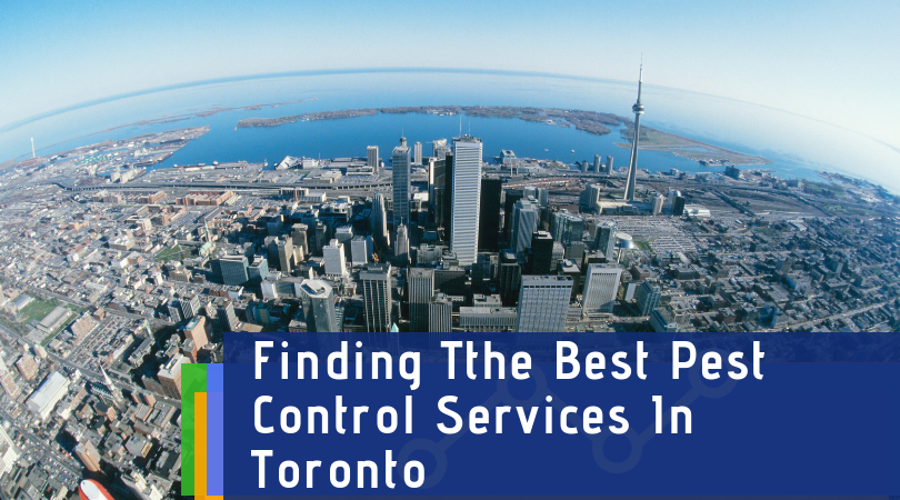 pest-control-toronto