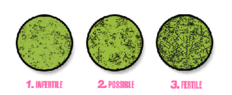 Differences in Saliva