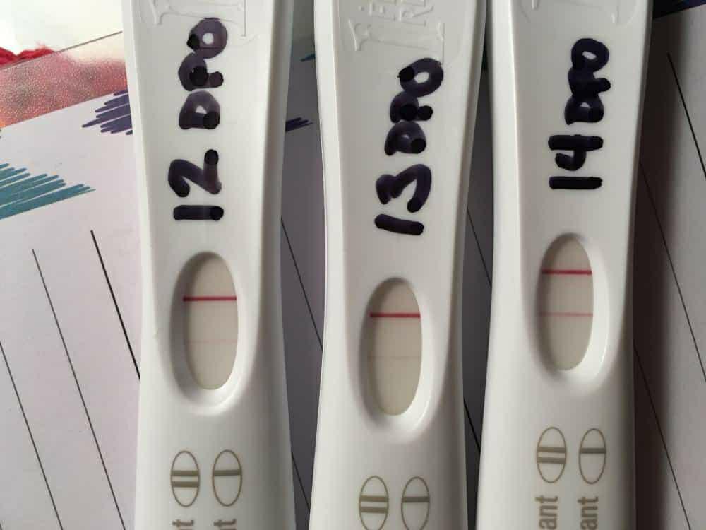 pregnancy test
