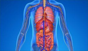 uses of the pink salt