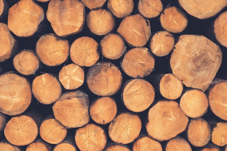 logging company