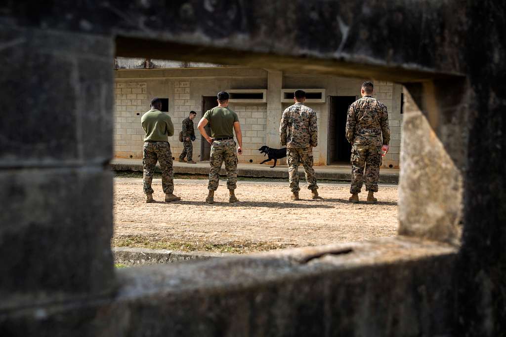 71-year-old retired Austrian colonel guilty of spying for Russia for decades