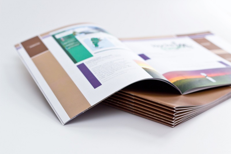 brochure design inspiration