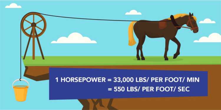how much horsepower does a horse have