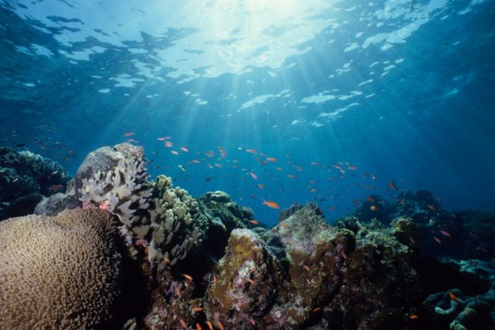 How Much Of The Ocean Has Been Explored