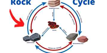 what is the the rock cycle