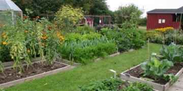 9 Tips Pest Free Garden