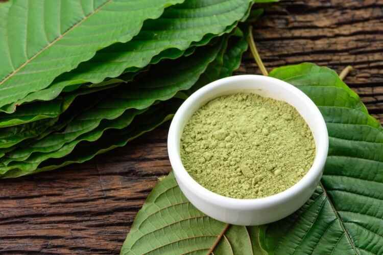 History of Kratom