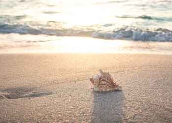 Planning to Buy Sands in Australia