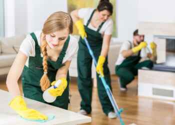 sanitation vs disinfection