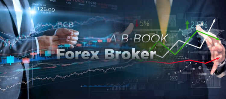 Forex brokers