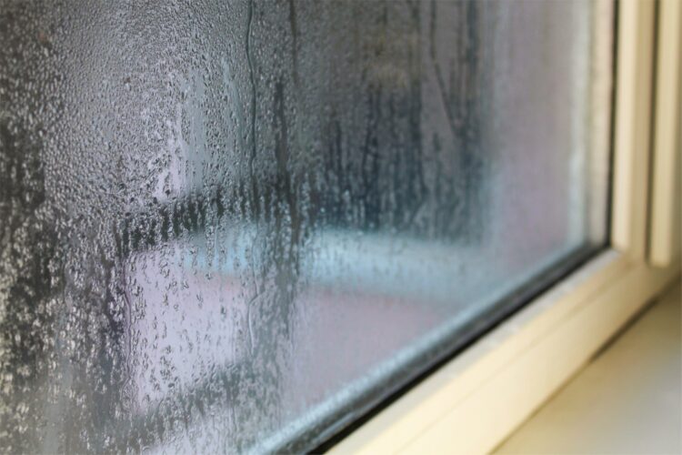 Window conclusions for condensation