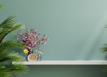 House Plants to Improve Air Quality