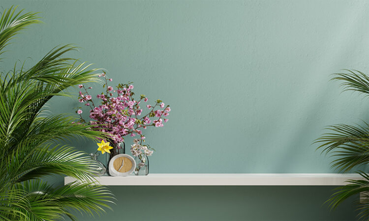 House Plants to Improve Air Quality