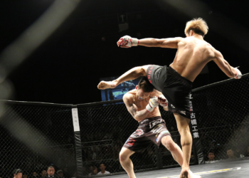 Benefits Of Mixed Martial Arts Training