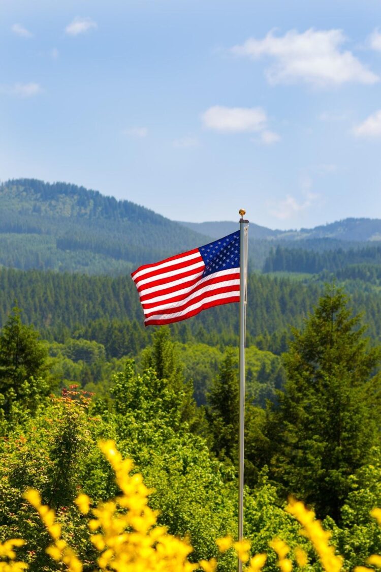 Spots in Great Smoky Mountains