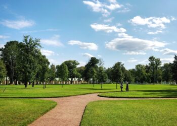 Leveling the Lawn: Basic Steps