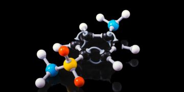 CBSE Class 12 Chemistry Exam: Topics You Must Study