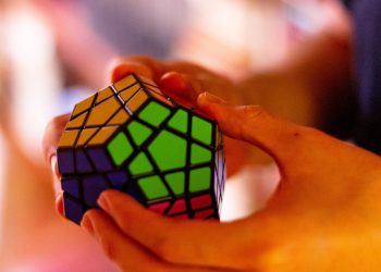 Interesting Facts Puzzle Games