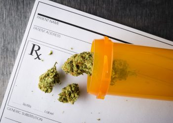 marijuana card renewal