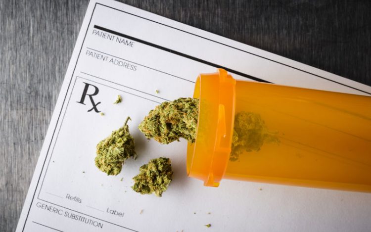 marijuana card renewal