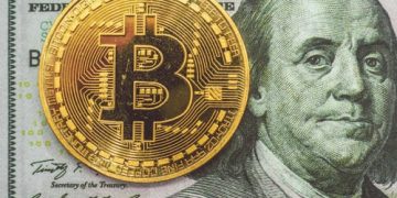 early Bitcoin Investor