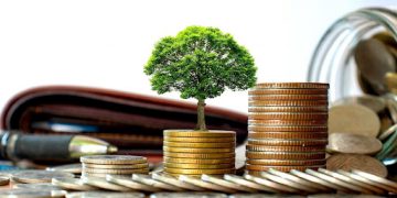 Why Need Term Insurance