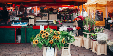 FLOWER CARE TIPS