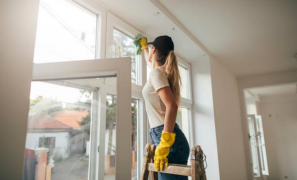 Types of Cleaning