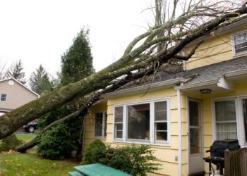 Storm Damage Restoration
