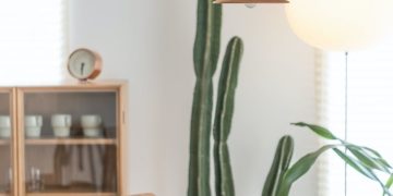 Buying New Dining Table