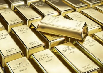 Your Investment Portfolio