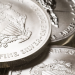 Silver Investments