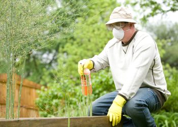 4 Ways You Can Benefit By Hiring Pest Control Services