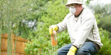 4 Ways You Can Benefit By Hiring Pest Control Services