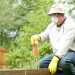 4 Ways You Can Benefit By Hiring Pest Control Services