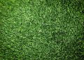Summer Lawn Mowing Tips to Keep Grass from Turning Brown