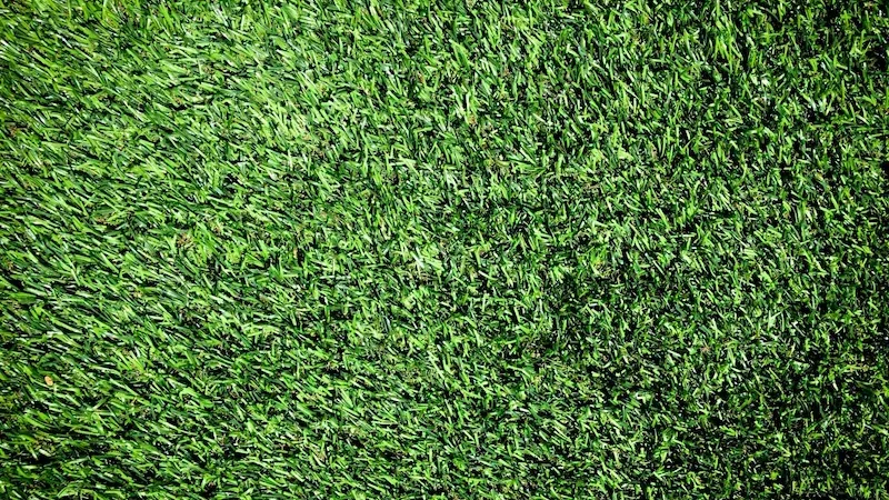 Summer Lawn Mowing Tips to Keep Grass from Turning Brown