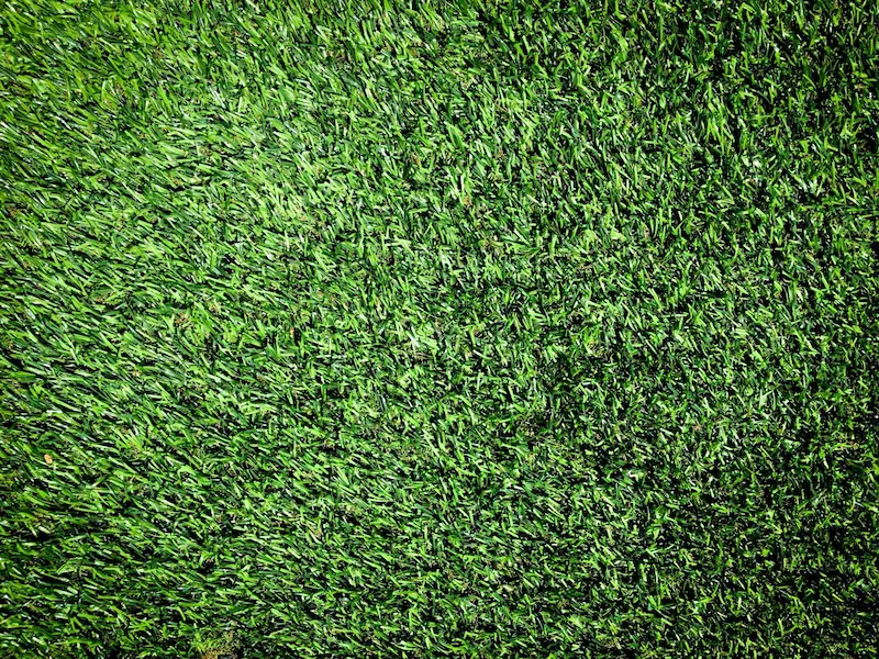 Summer Lawn Mowing Tips to Keep Grass from Turning Brown