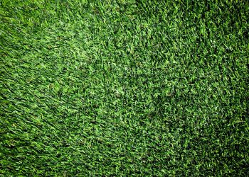 Summer Lawn Mowing Tips to Keep Grass from Turning Brown