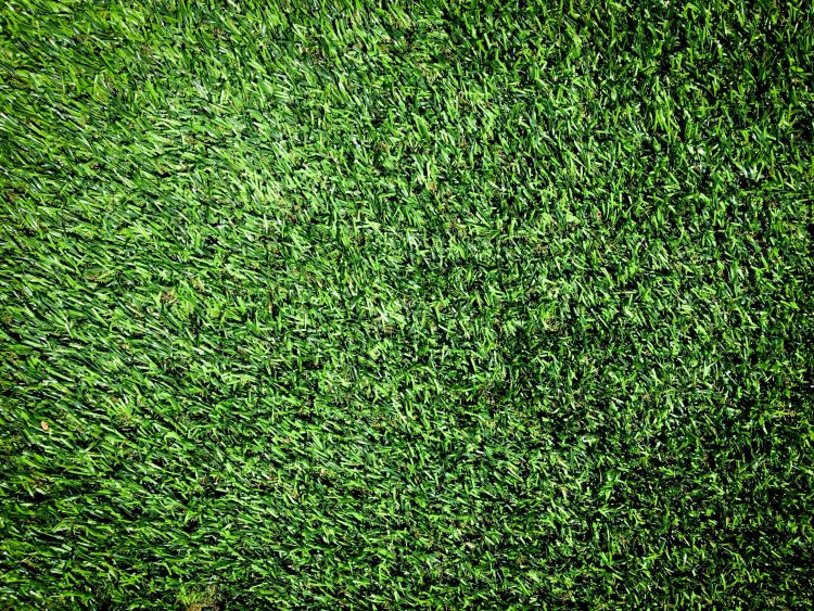 Summer Lawn Mowing Tips to Keep Grass from Turning Brown