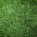 Summer Lawn Mowing Tips to Keep Grass from Turning Brown